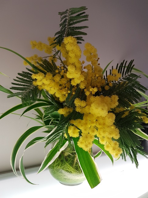 20170225_173139.jpg