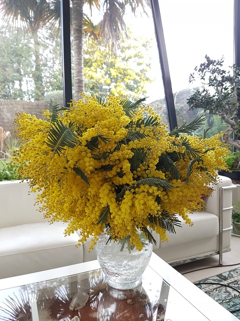 20170225_171827.jpg