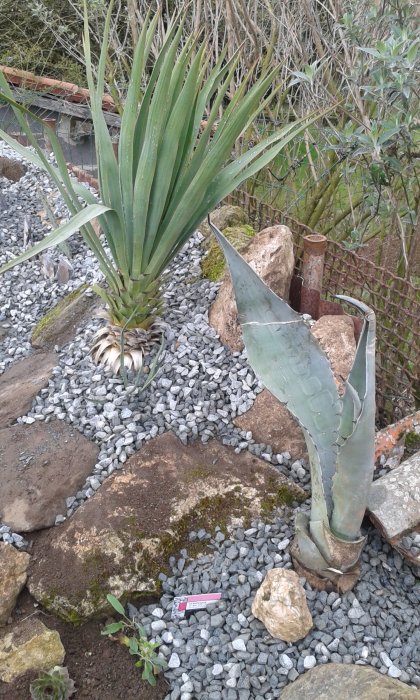 20170226_140148.jpg
