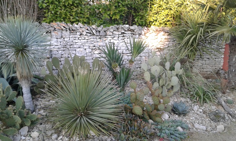 Jardin Fevrier.jpg