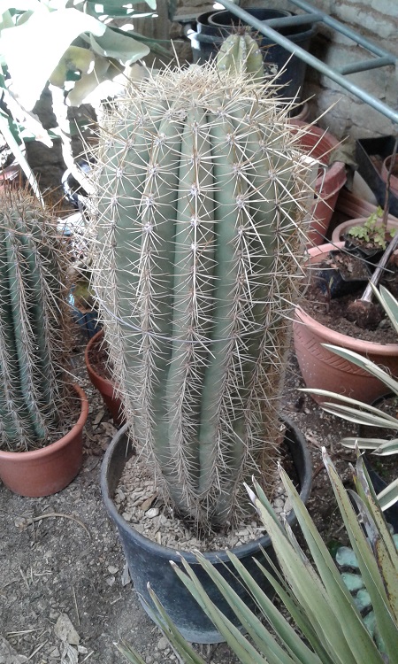 20170304_163710.jpg