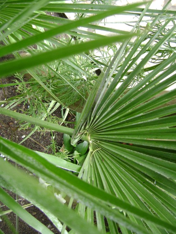 DSC03172.jpg