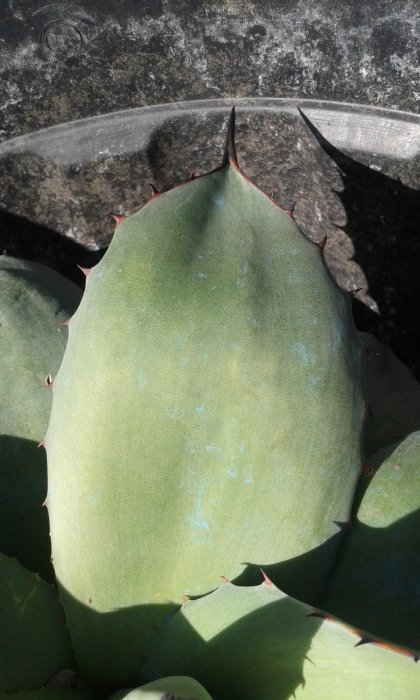 20170310_171706.jpg