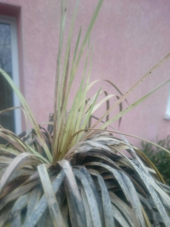 PicsArt_03-11-07.10.19.jpg