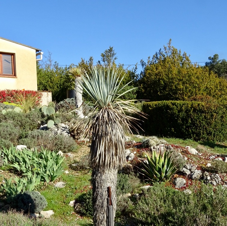 Torpille 1 à l'avant plan ( Mars 2017 ).jpg