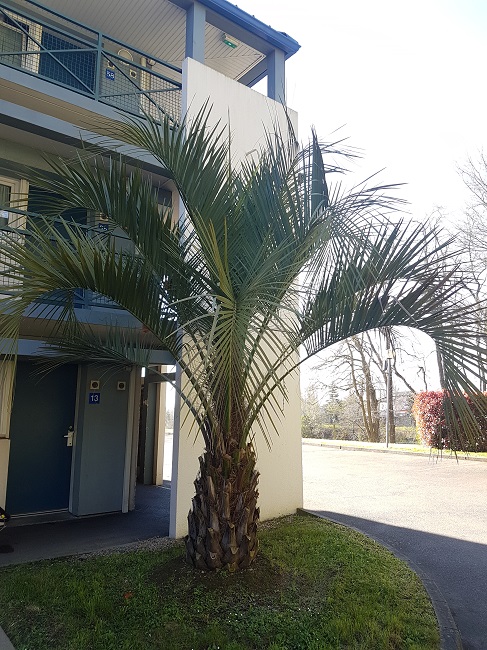 Nantes Hotel B&B mars 2017 (2).jpg