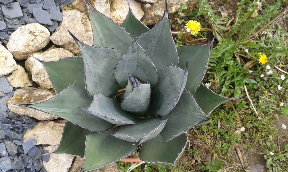 20170405_112525.jpg