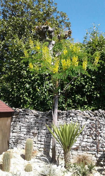 20170422_131637.jpg