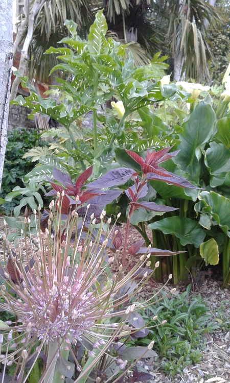 20170427_205402.jpg