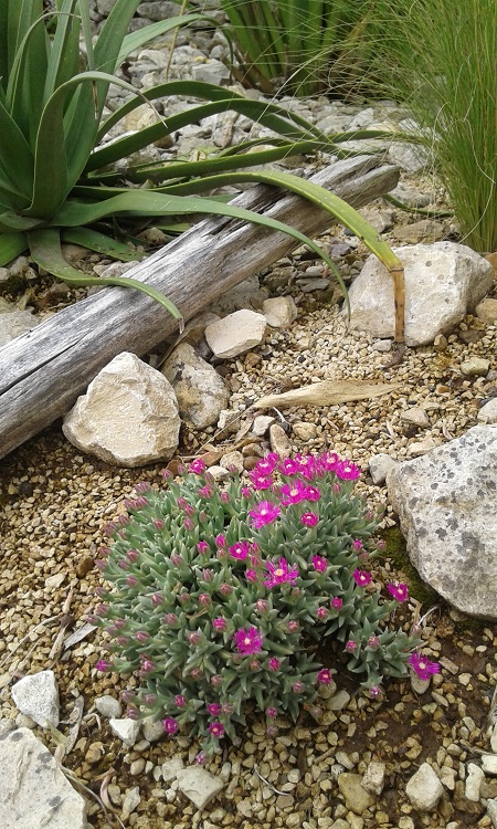 20170501_144006.jpg
