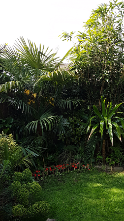 Jardin 05052017 (12).png