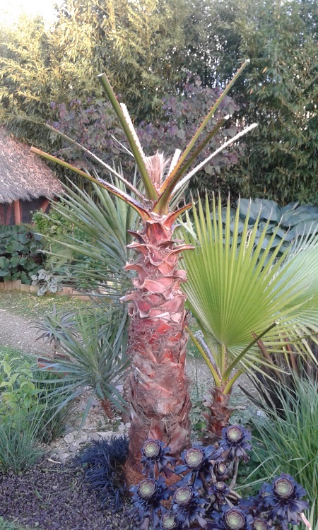 20170519_210014.jpg