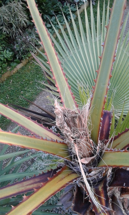 20170519_210037.jpg