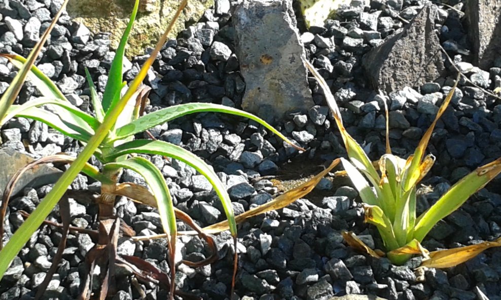 20170519_093659.jpg