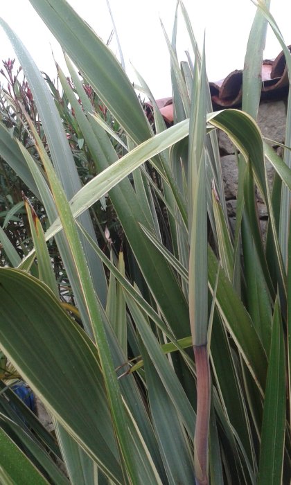 20170529_090154.jpg