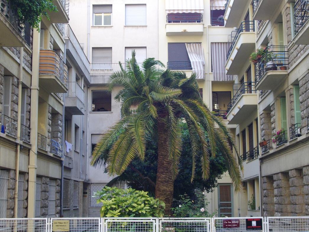 Vue large.JPG