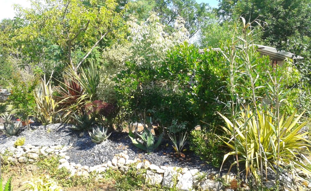 20170602_105801.jpg