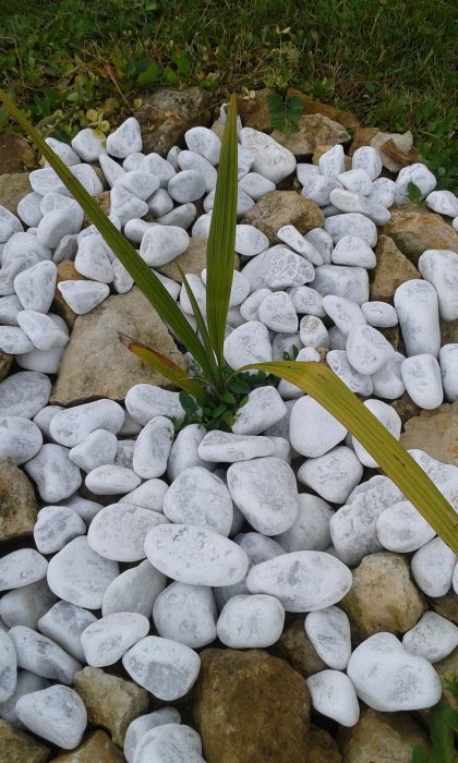 20170518_184317.jpg