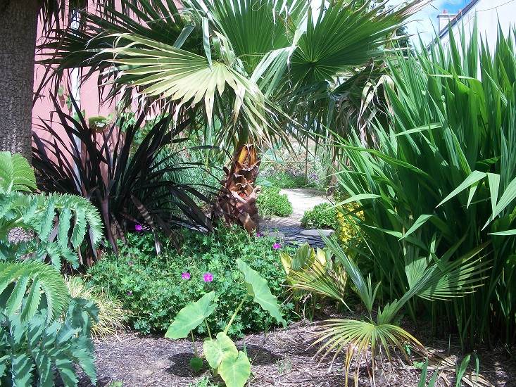 100_8186.JPG