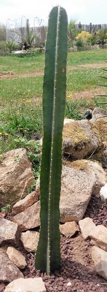 20170622_132803-1 (Copier).jpg
