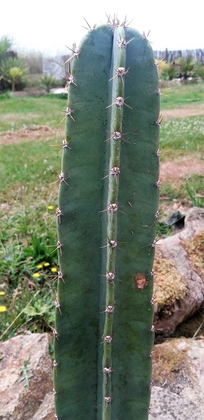 20170622_132742-1 (Copier).jpg