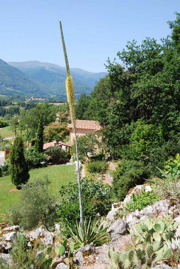 Le 11 juillet: