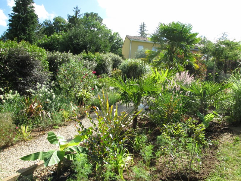 jardin juin 2017 016 (800x600).jpg