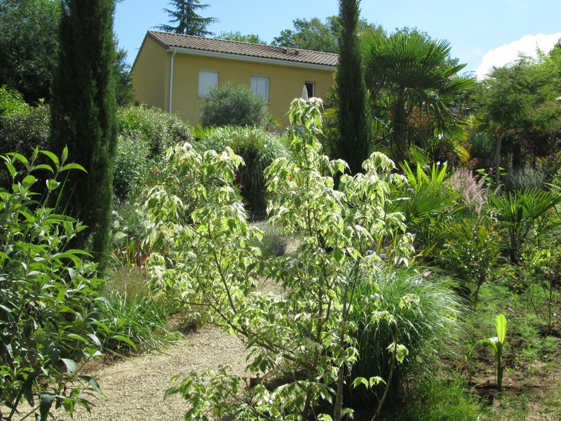 jardin juin 2017 037 (800x600).jpg