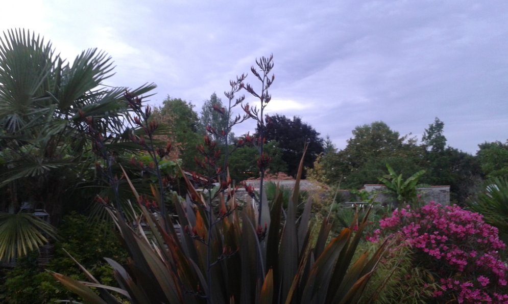 20170626_215544.jpg