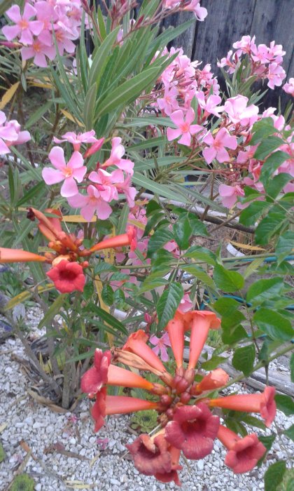 20170626_215128.jpg