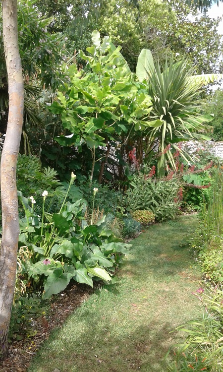 20170628_173541.jpg