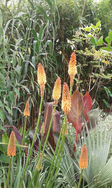 20170625_110341.jpg