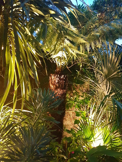Jardin de nuit juin 2017 4.jpg