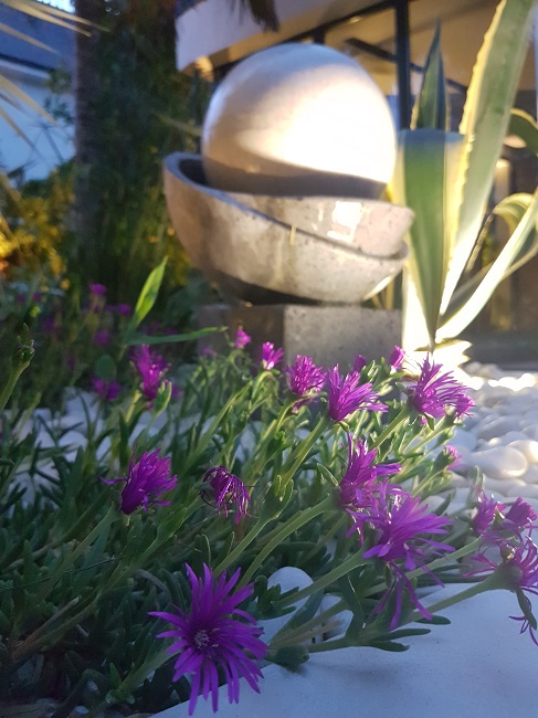 Jardin de nuit juin 2017 8.jpg