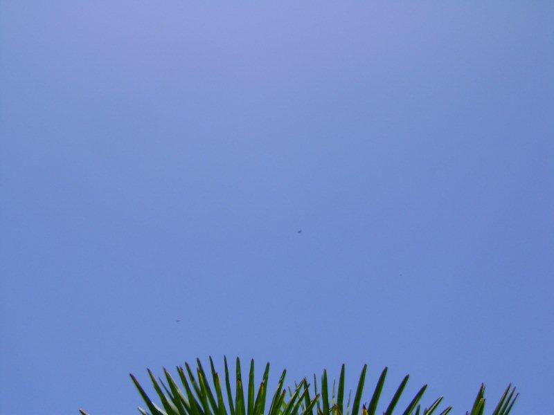 001 Ciel bleu à PREFAILLES.jpg