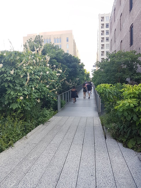 NY High Line juilet 2017 (2).jpg