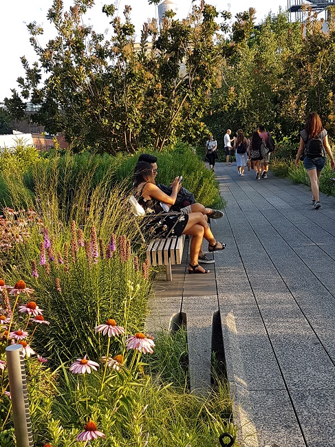 NY High Line juilet 2017 (1).jpg