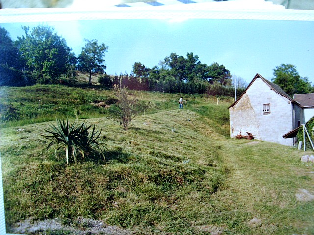 HPIM0008.JPG