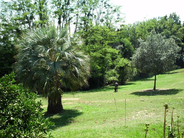 HPIM0002.JPG