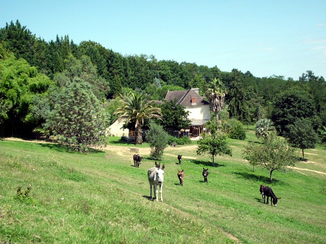 HPIM0004.JPG