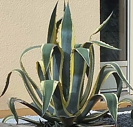 20170603_185935-1-1 (Copier).jpg