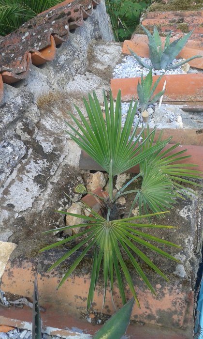 20170728_172549.jpg