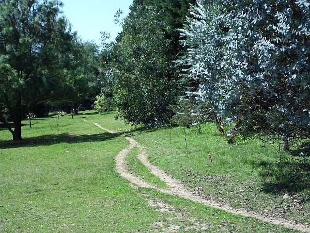 HPIM0009.JPG