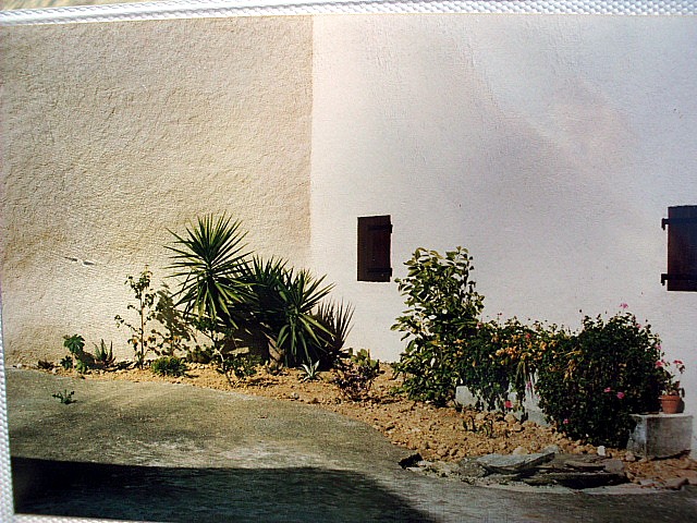 HPIM0013.JPG