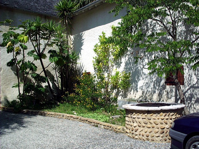 HPIM0012.JPG