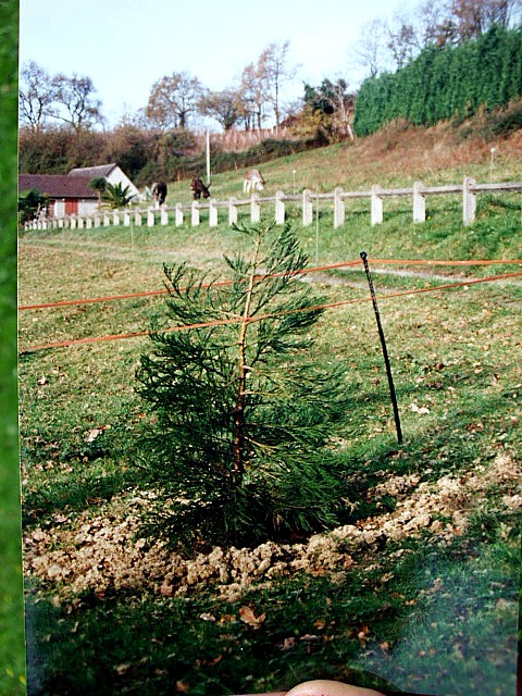 HPIM0029.JPG