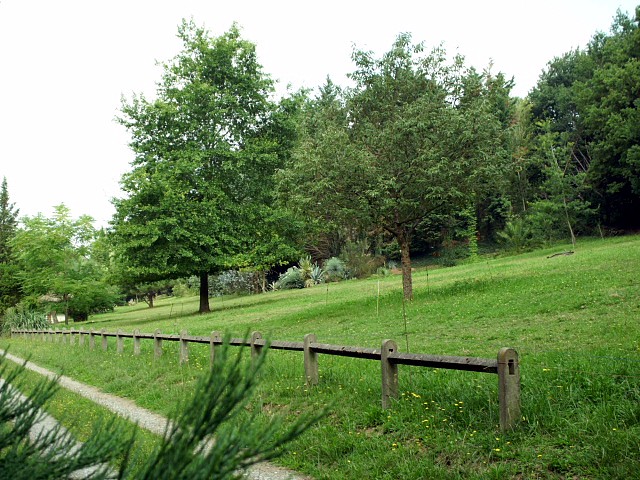 HPIM0028.JPG
