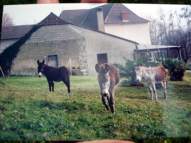 HPIM0031.JPG
