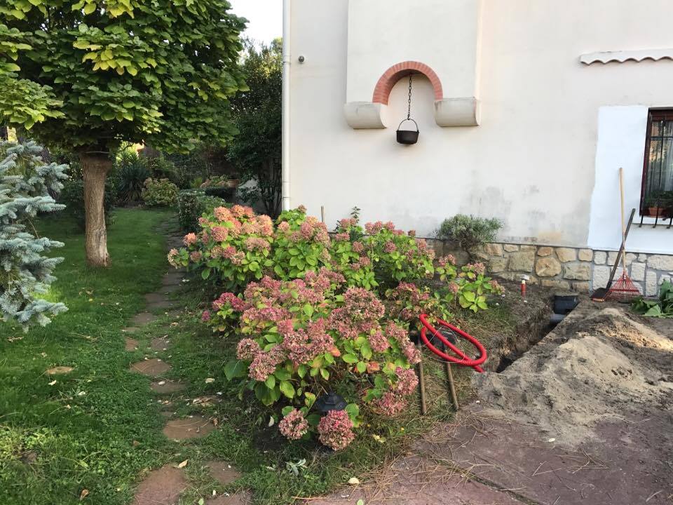 le vieux massif d'hortensias et les premiers travaux.