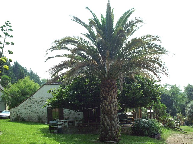 HPIM0036.JPG